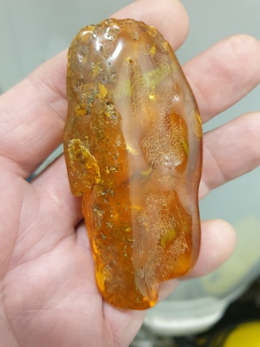 Grs genuine baltic amber - 25,