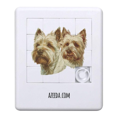 Westie dog couple sliding - 'westie,