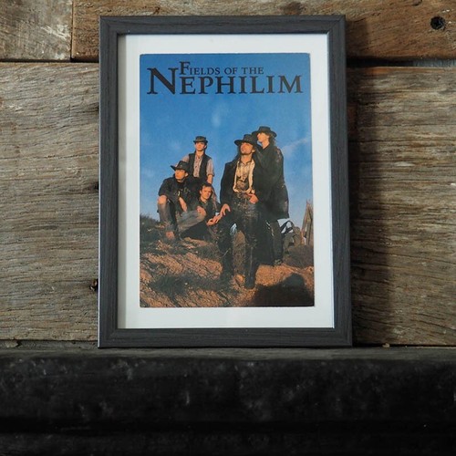 Fields the nephilim carte - fields, nephilim.,