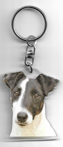 Fox terrier porte - fox, clés