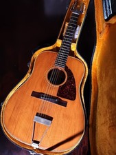 Epiphone FT112 12 cordes / guitare acoustique avec HC