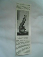 Crane d'éléphant trouvé dans l'Oubangui Chari quaduple défense Image Print 20è