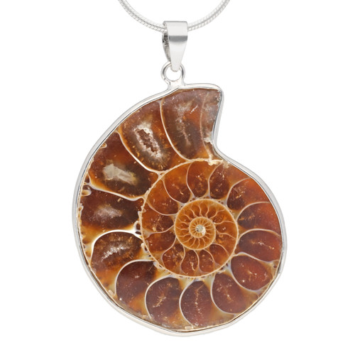 Pendentif ammonite - ammonite, |