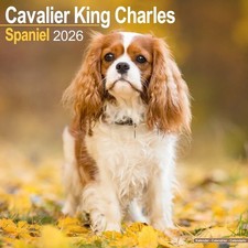 CALENDRIER CAVALIER KING