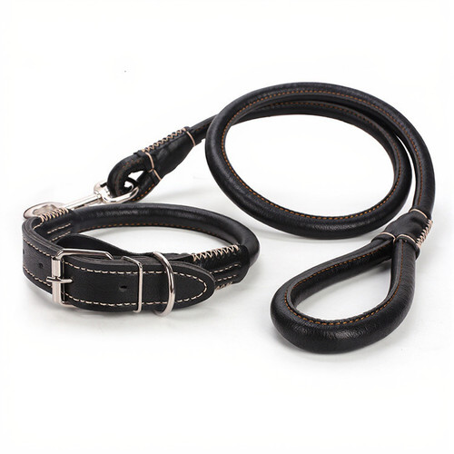 Laisse pour chien cuir - laisse,
