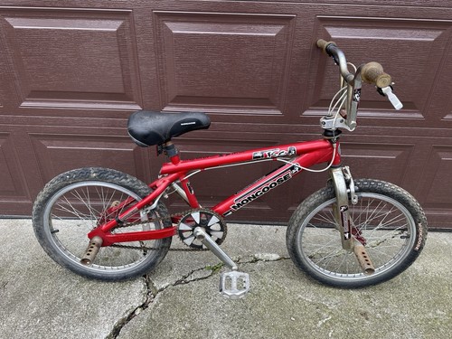 Mongoose - (ko, team
