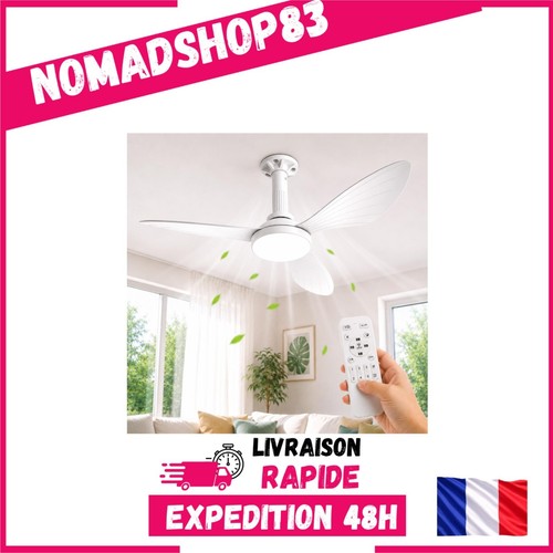 Ventilateur plafond avec - ventilateur,