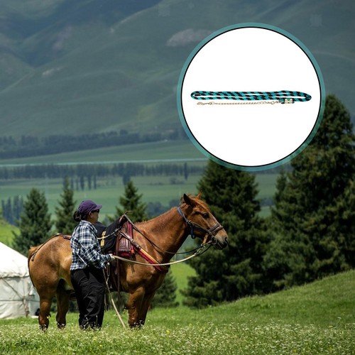 Longe pour cheval résistante