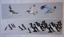 Oiseaux Cambier aquarelle à