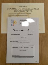VAE BAC PRO COMMERCE LIVRET 2 Complété et Validé