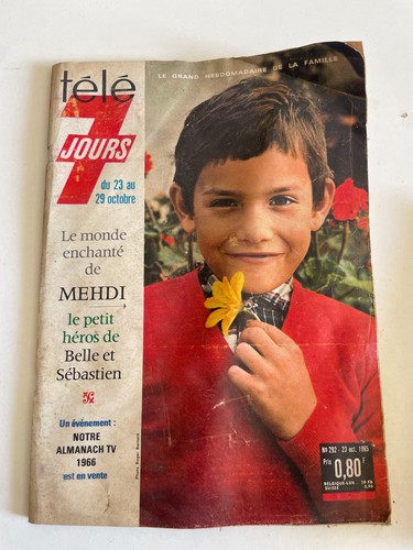 🐈‍⬛Magazine programme