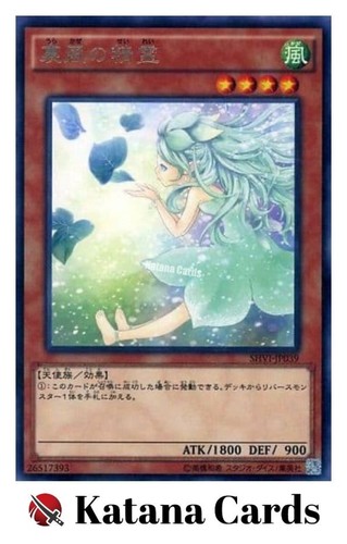 Cartes yugioh spirit of - cartes,