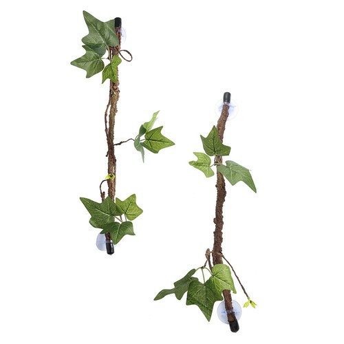 2 Pcs Jouets Pour Reptiles