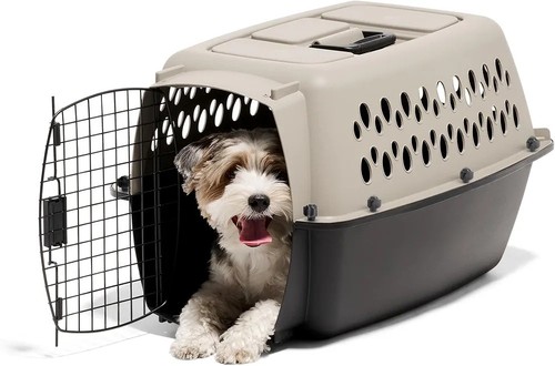 Cats small dogs - 🐕,