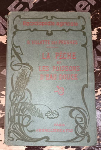 Peche villatte des - des, prugnes