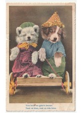 1948 Chiens Vêtus Humanisés