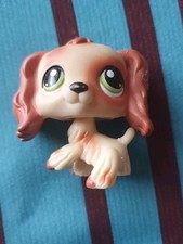 Littlest Pet Shop LPS Rare