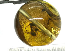 AMBRE avec insecte perle ronde