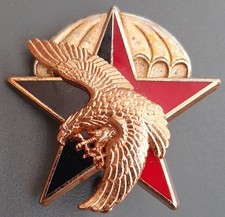 Insigne Service Action DGSE