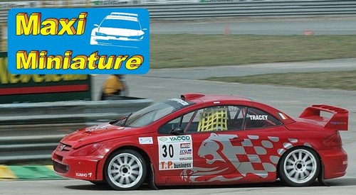 Décals 43e peugeot - 1/43e, 307