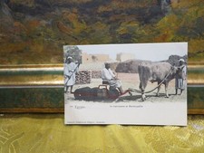 cpa afrique africa egypte le laboureur et hache paille