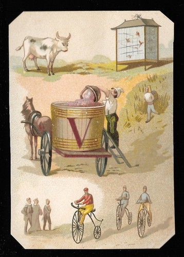 The letter wine bicycle - v,