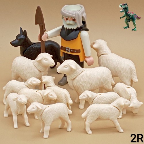 Playmobil berger troupeau - playmobil, berger-troupeau