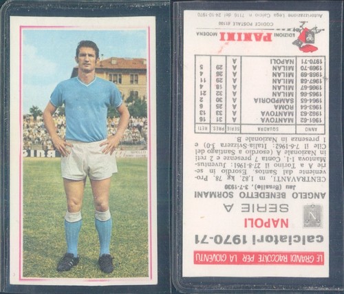 Figurine footballeurs panini - figurine,