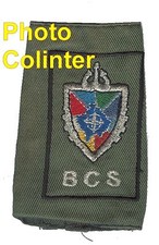 B.C.S. KFOR Trident - Passant d'épaule - OPEX / Ex-Yougoslavie
