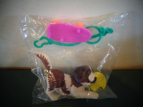 Saint bernard puppy dog pet - st,