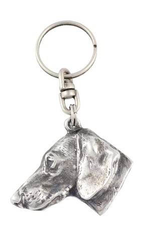Chien teckel rauhhaar - chien,