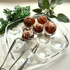 Set of 8 Pyrex Escargot Dishes. Snail Plates. Glass Escargot Plates