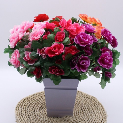 Décor floral fleur