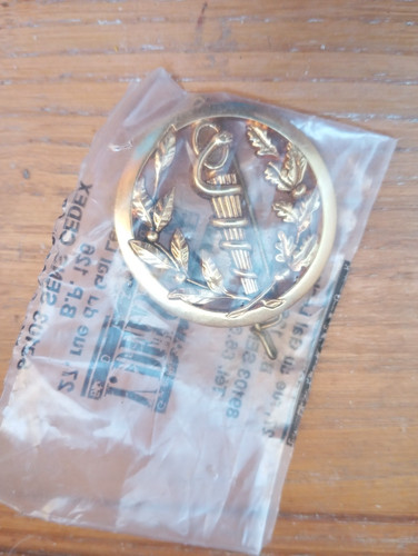 Service sante insigne de - service,