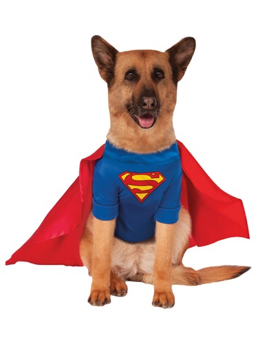 Superman chien costume - chien,