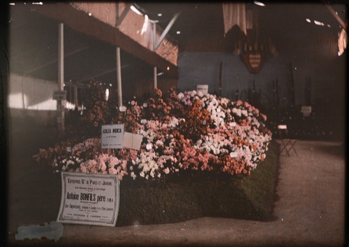 Autochromes nice - autochromes, /