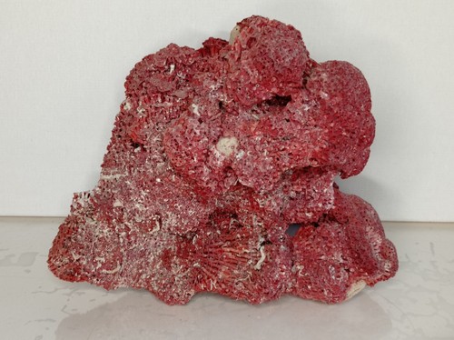 Corail rouge naturel - rouge, gros