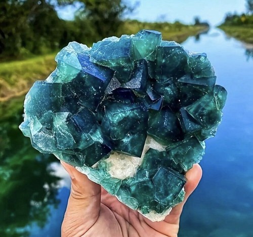 Gros cube fluorite - fluorite, verte