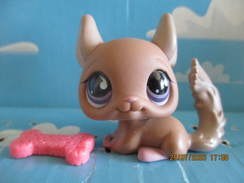 Petshop chinchilla 799 - petshop, n°799