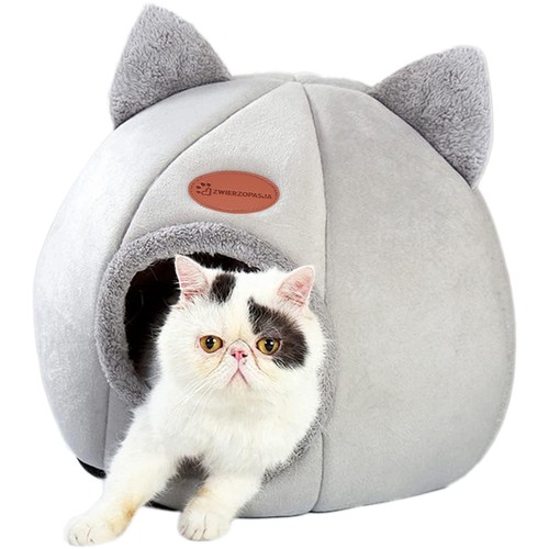 Niche pour chat - , amber