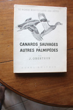 CHASSE - J. OBERTHUR - canards