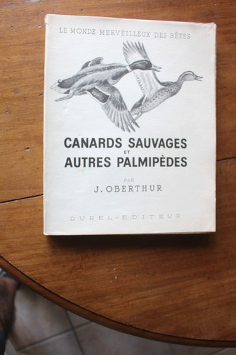 Chasse oberthur canards - oberthur,