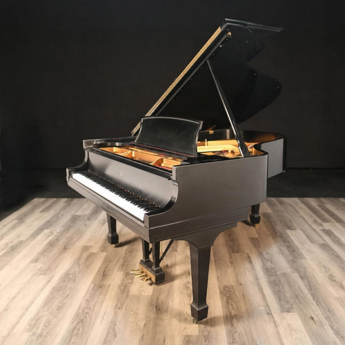 2005 steinway satin - a,
