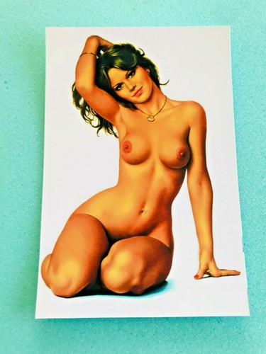 Carte postale 15x10 aslan - postale,