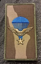 écusson militaire 1er - , rcp