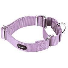 Martingale Collier pour chien