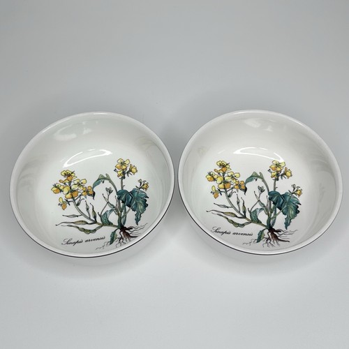 Villeroy boch botanica - villeroy, &