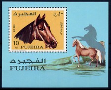 A594/ FUJEIRA / BLOC –