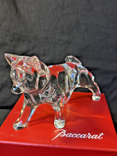 Rare chien husky - Cristal