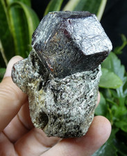 Beaux Grenats Almandins Granatenkogel 7x5.5cm Tyrol Autriche minéral collection